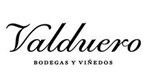 Valduero, Bodegas y viñedos